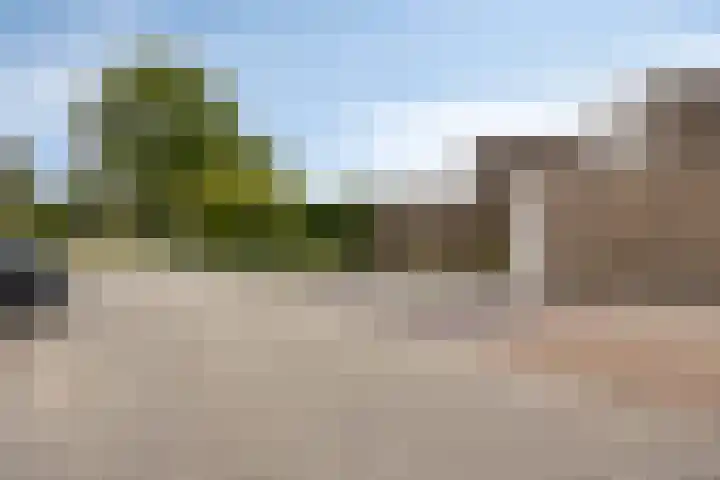 Holenduif 27 Emmen thumbnail 42