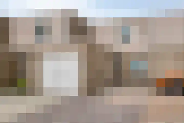 Holenduif 27 Emmen thumbnail 47