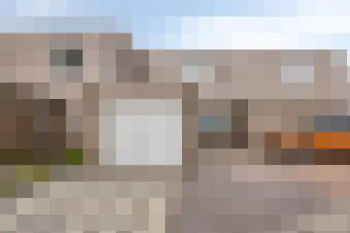 Holenduif 27 Emmen thumbnail 5