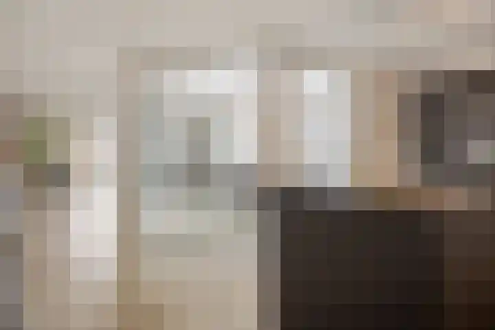 Holenduif 27 Emmen thumbnail 8