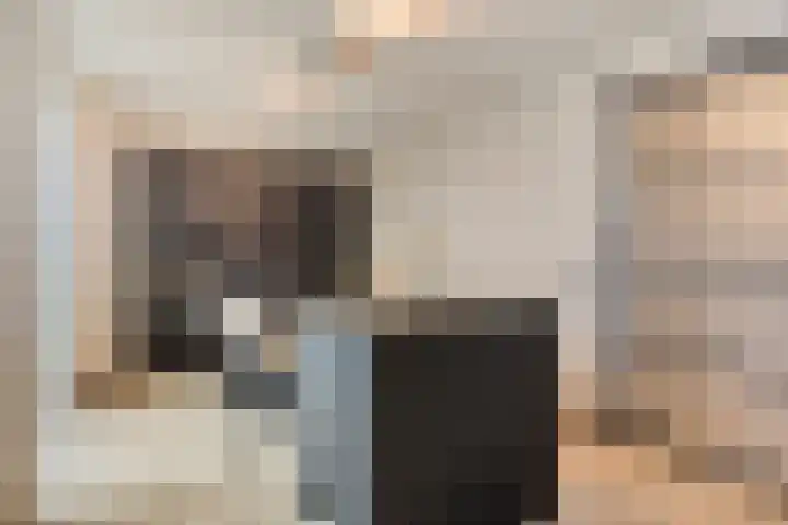 Holenduif 27 Emmen thumbnail 9