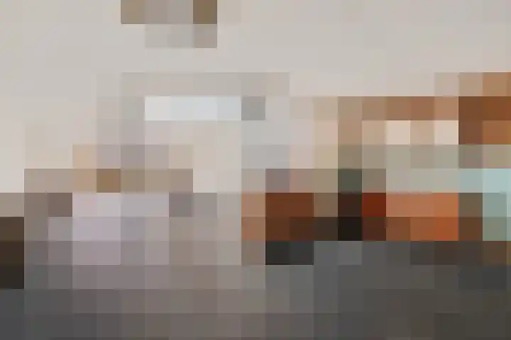 Holenduif 29 Emmen thumbnail 10