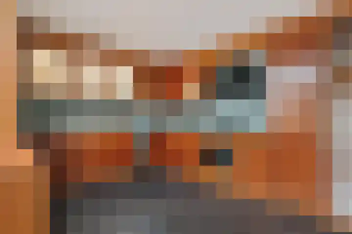 Holenduif 29 Emmen thumbnail 12