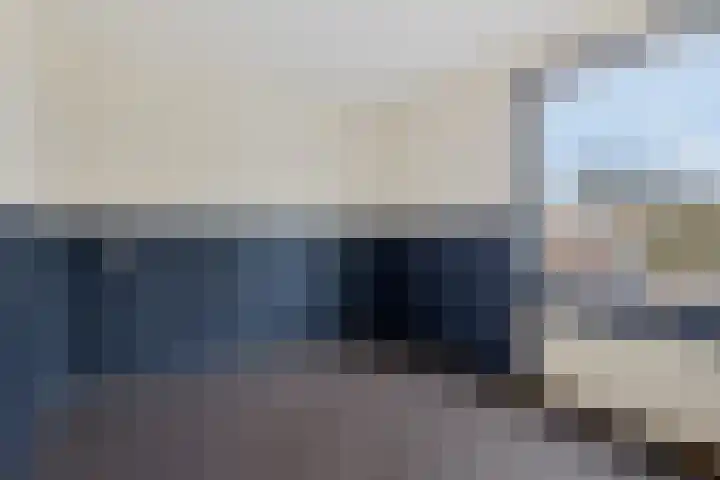 Holenduif 29 Emmen thumbnail 24