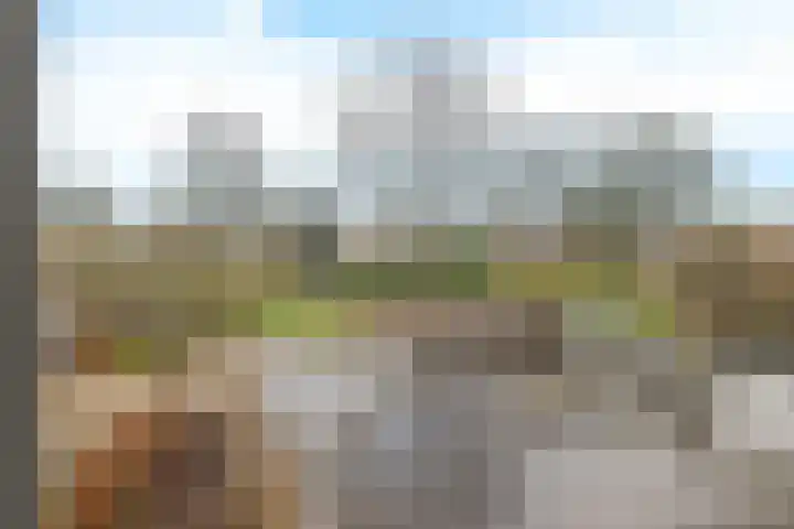 Holenduif 29 Emmen thumbnail 26