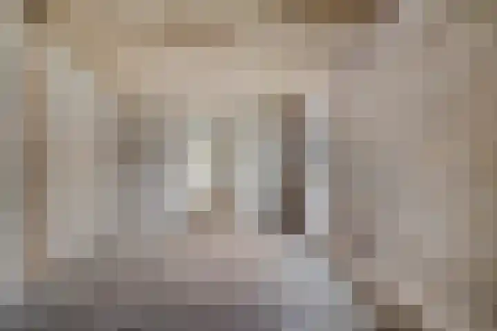 Holenduif 29 Emmen thumbnail 31