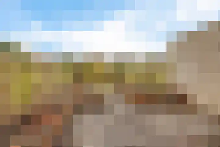 Holenduif 29 Emmen thumbnail 32