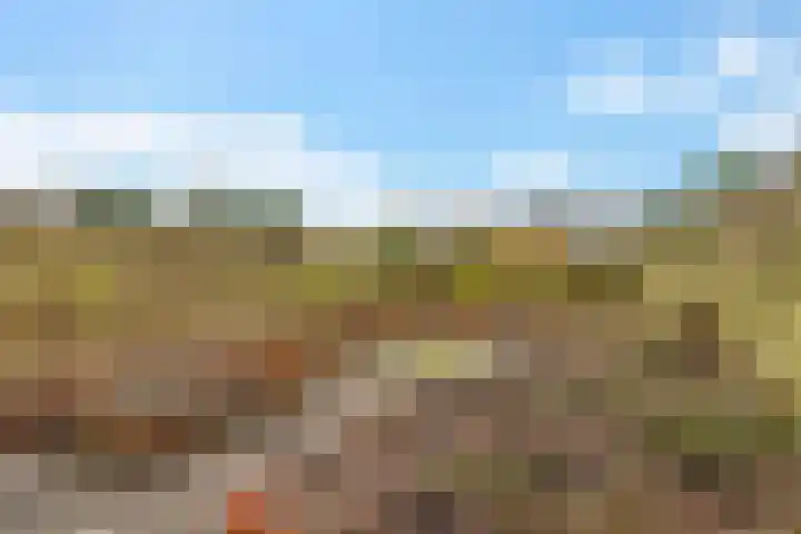Holenduif 29 Emmen thumbnail 33
