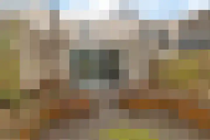 Holenduif 29 Emmen thumbnail 35