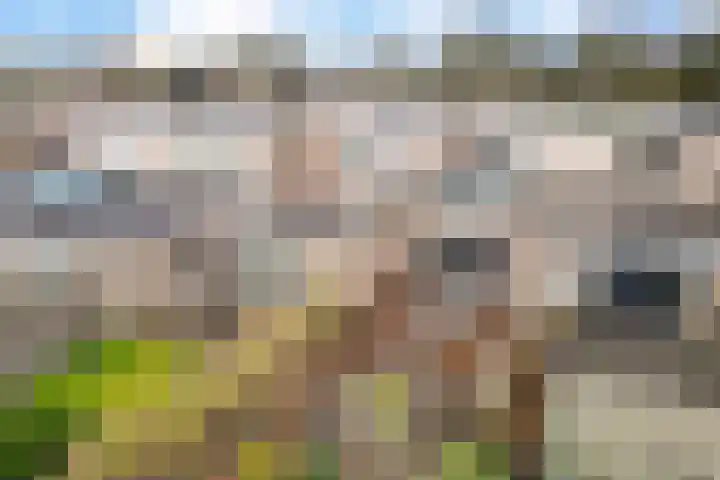 Holenduif 29 Emmen thumbnail 36