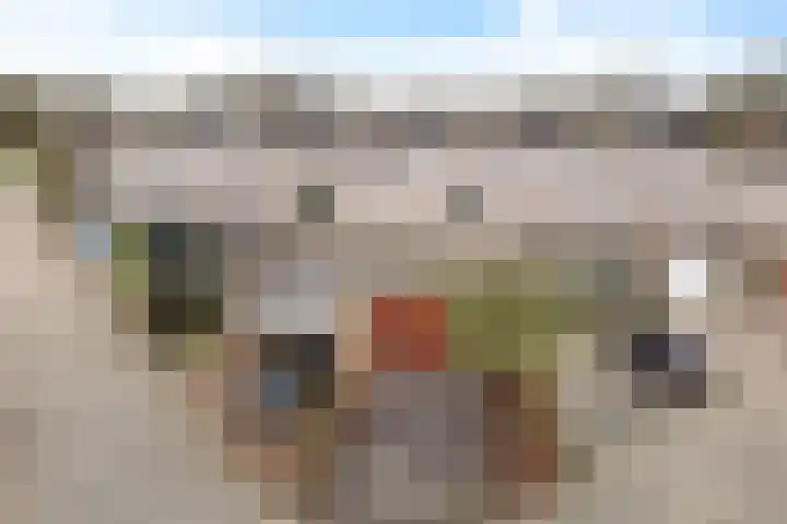 Holenduif 29 Emmen thumbnail 37