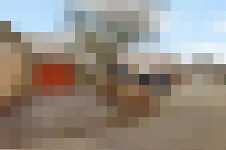 Holenduif 29 Emmen thumbnail 38