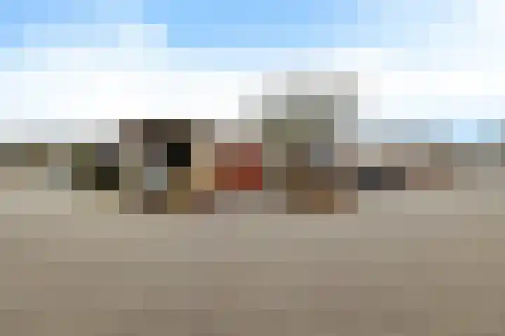 Holenduif 29 Emmen thumbnail 39
