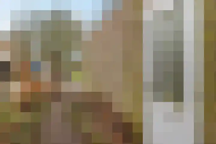 Holenduif 29 Emmen thumbnail 4