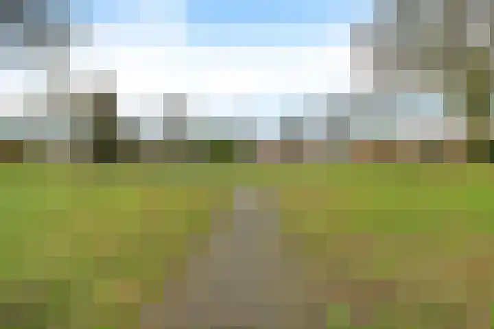 Holenduif 29 Emmen thumbnail 40