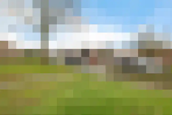 Holenduif 29 Emmen thumbnail 41