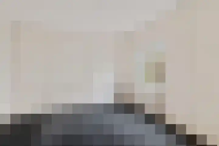 Holenduif 29 Emmen thumbnail 8