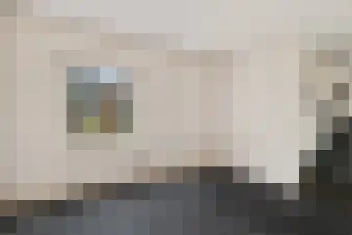 Holenduif 29 Emmen thumbnail 9