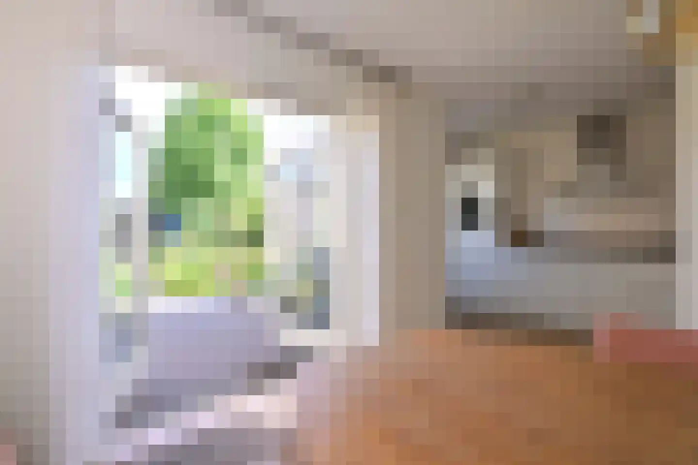 Holenduif 3 Olst thumbnail 10