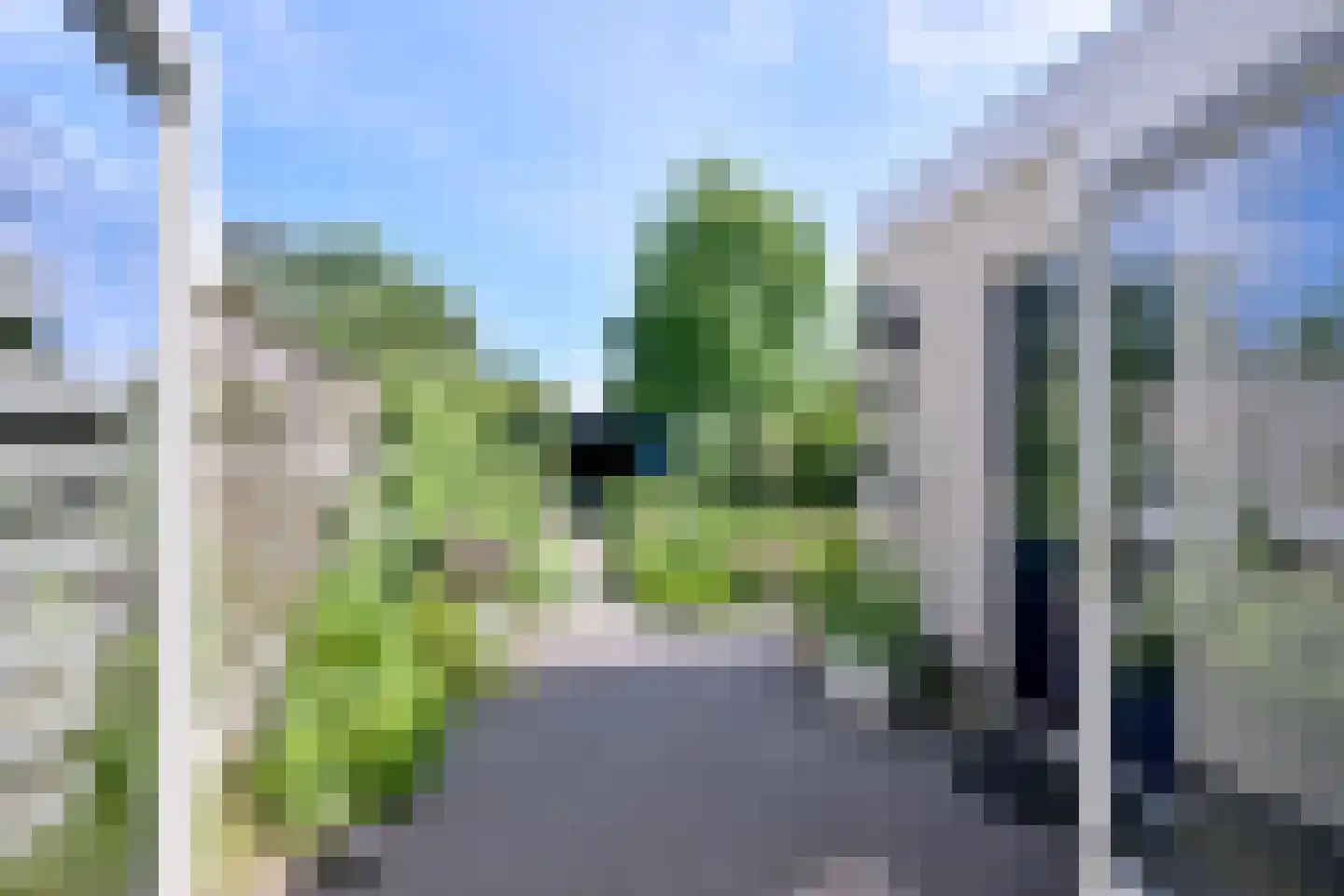 Holenduif 3 Olst thumbnail 11