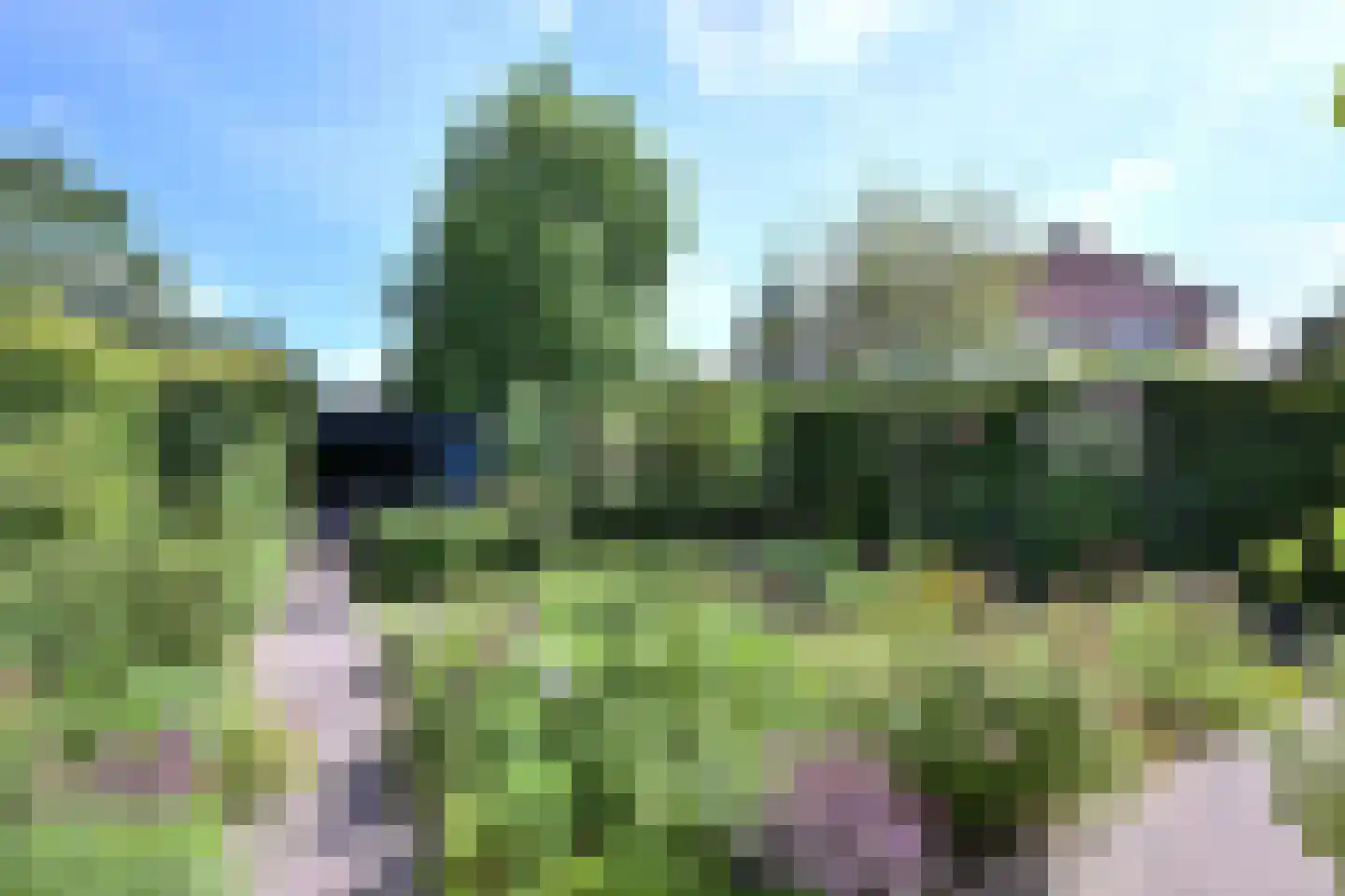 Holenduif 3 Olst thumbnail 12