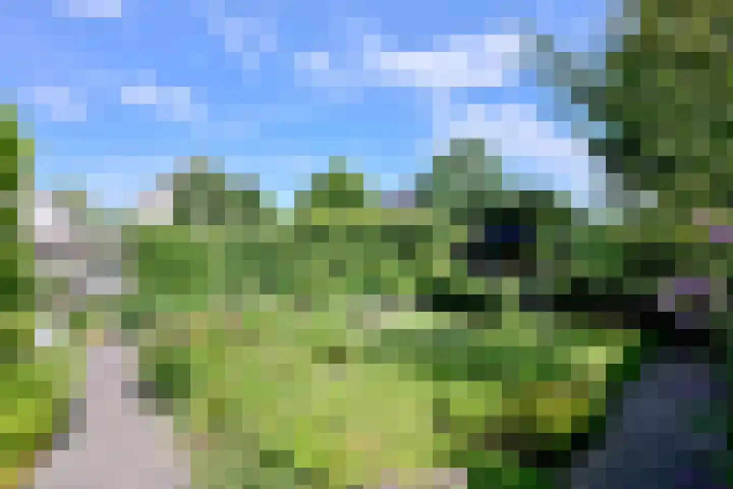 Holenduif 3 Olst thumbnail 14