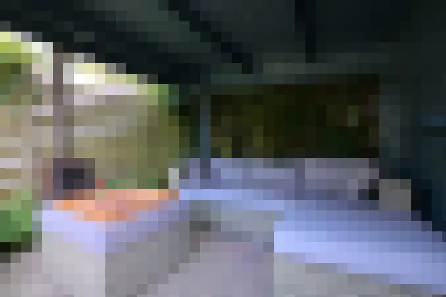 Holenduif 3 Olst thumbnail 16
