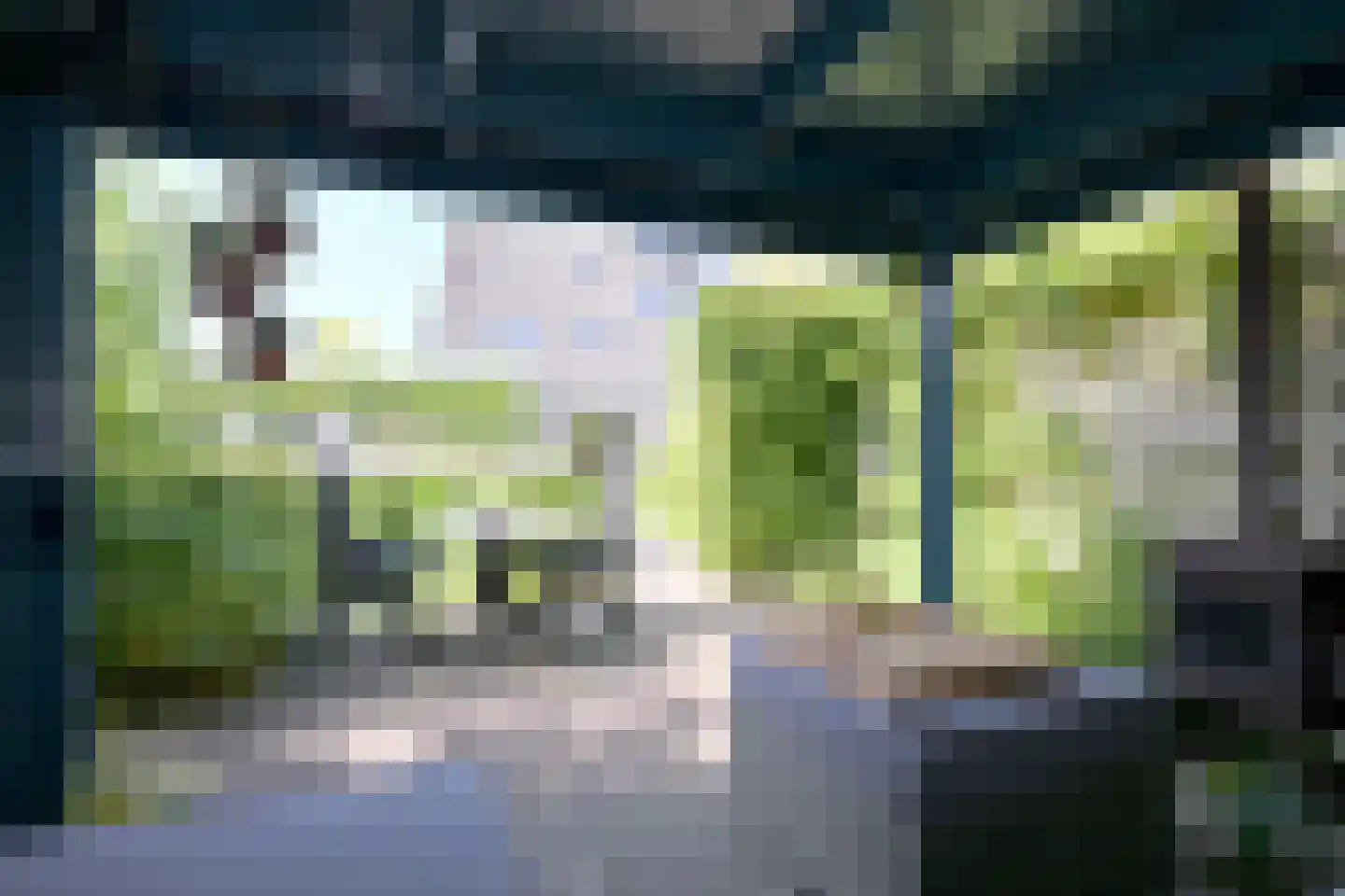 Holenduif 3 Olst thumbnail 17
