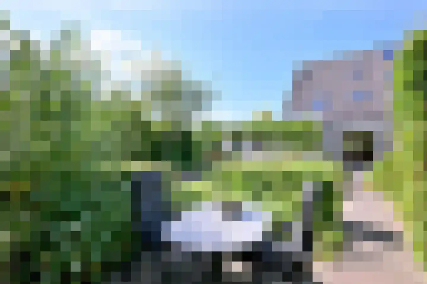 Holenduif 3 Olst thumbnail 18