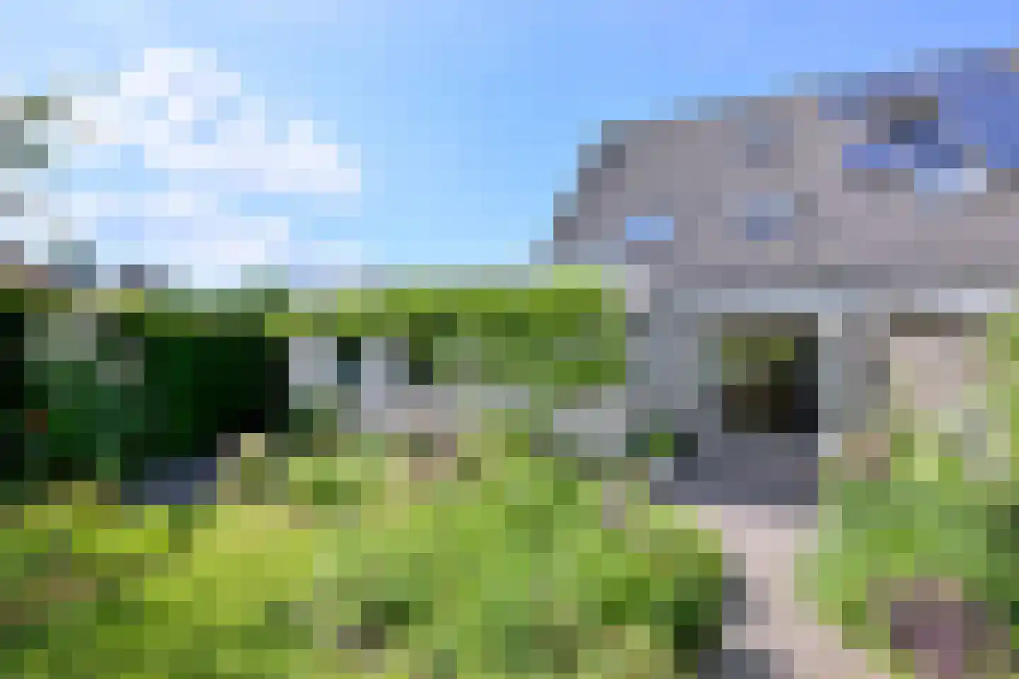 Holenduif 3 Olst thumbnail 19