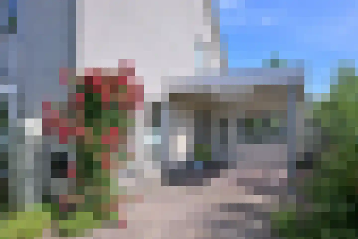 Holenduif 3 Olst foto 2