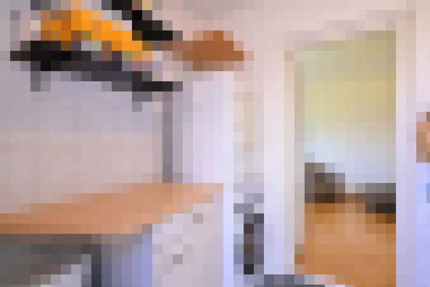 Holenduif 3 Olst thumbnail 20