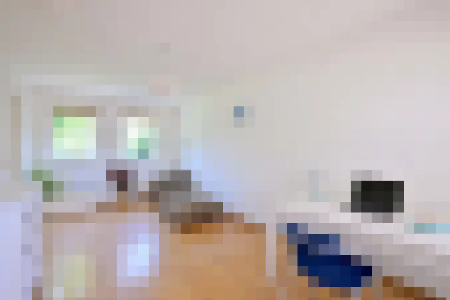 Holenduif 3 Olst thumbnail 21
