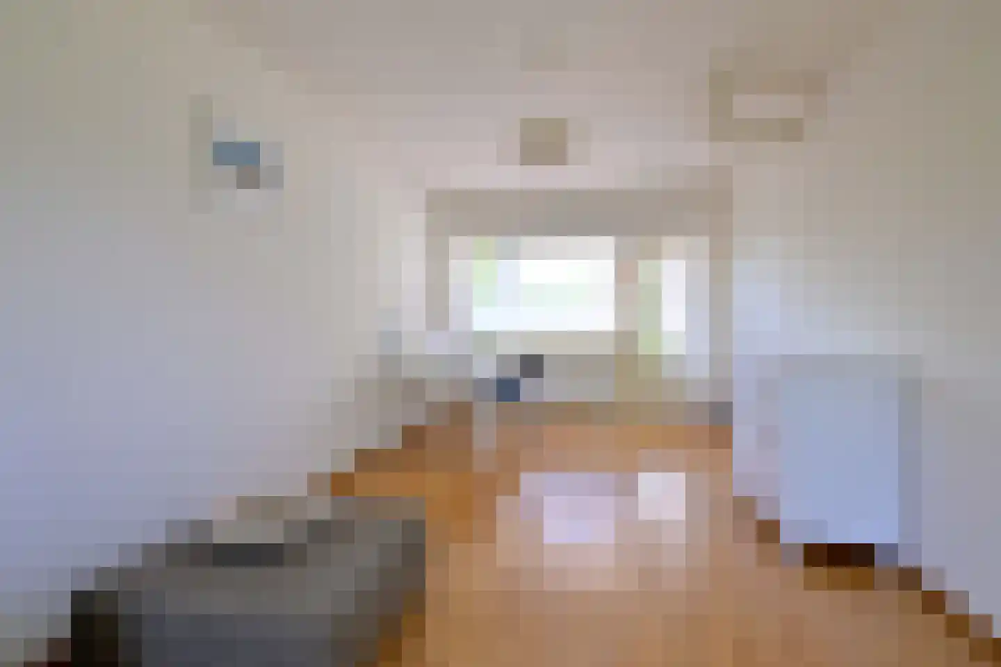 Holenduif 3 Olst thumbnail 22
