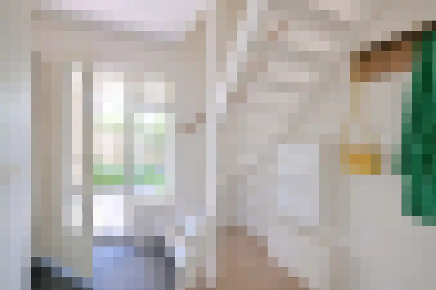 Holenduif 3 Olst thumbnail 28