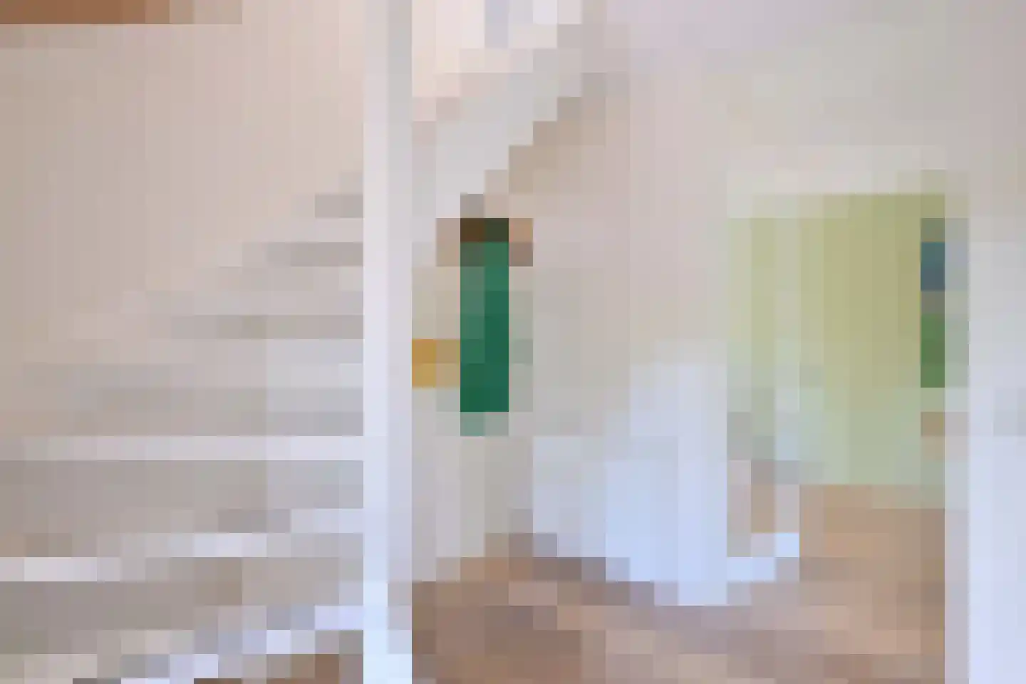 Holenduif 3 Olst foto 3