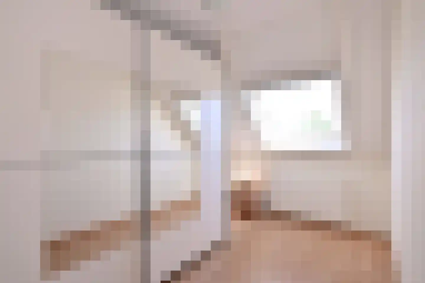 Holenduif 3 Olst thumbnail 33