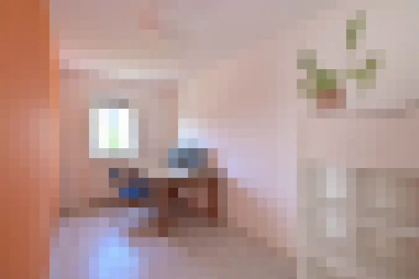 Holenduif 3 Olst thumbnail 35