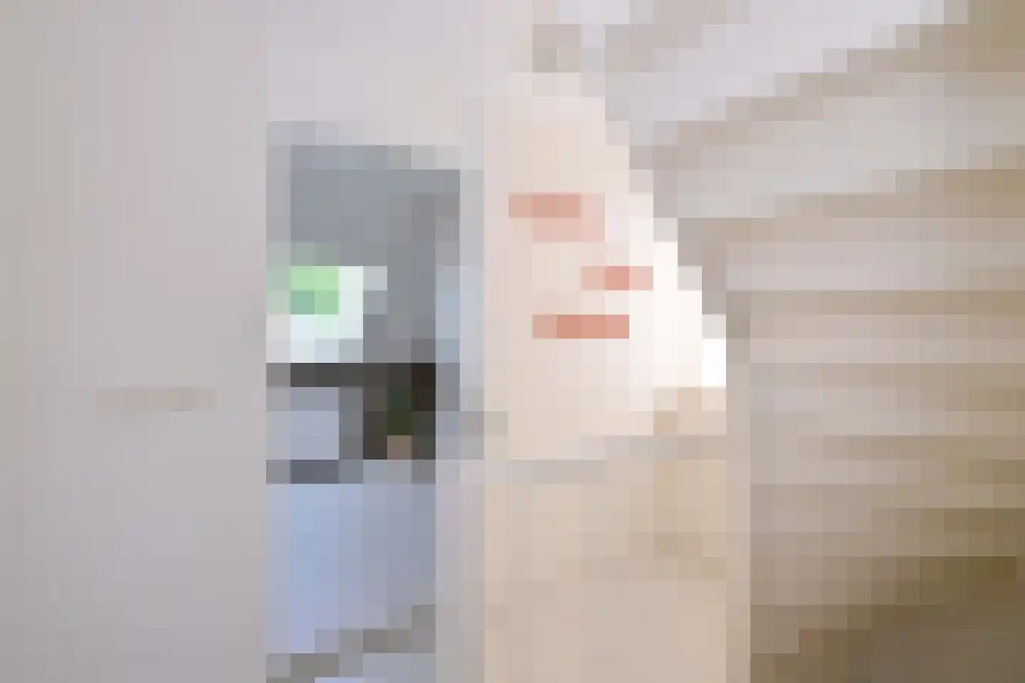 Holenduif 3 Olst thumbnail 37