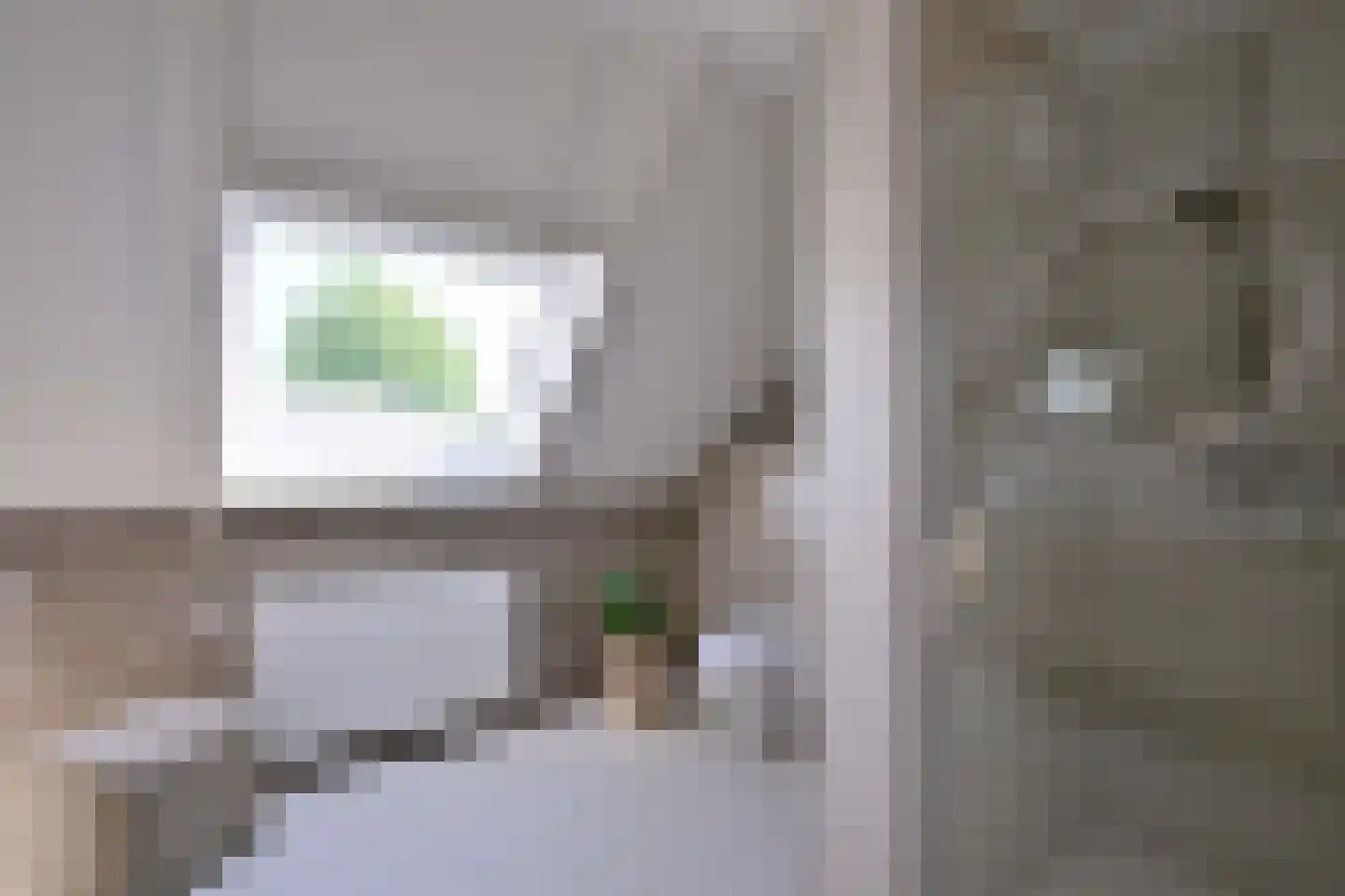 Holenduif 3 Olst thumbnail 38