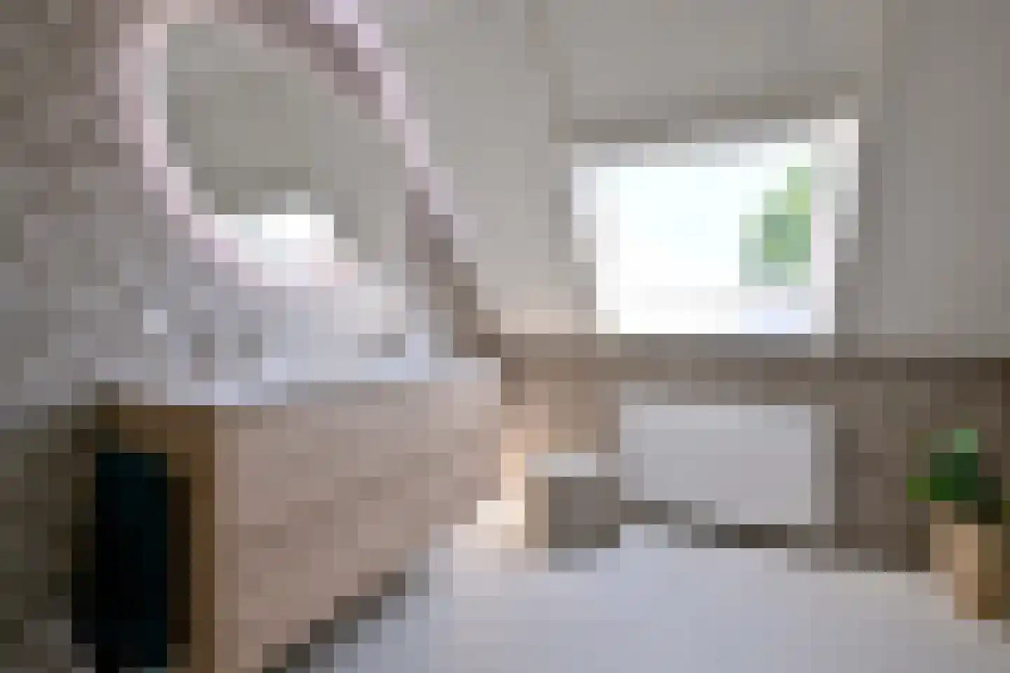 Holenduif 3 Olst thumbnail 39