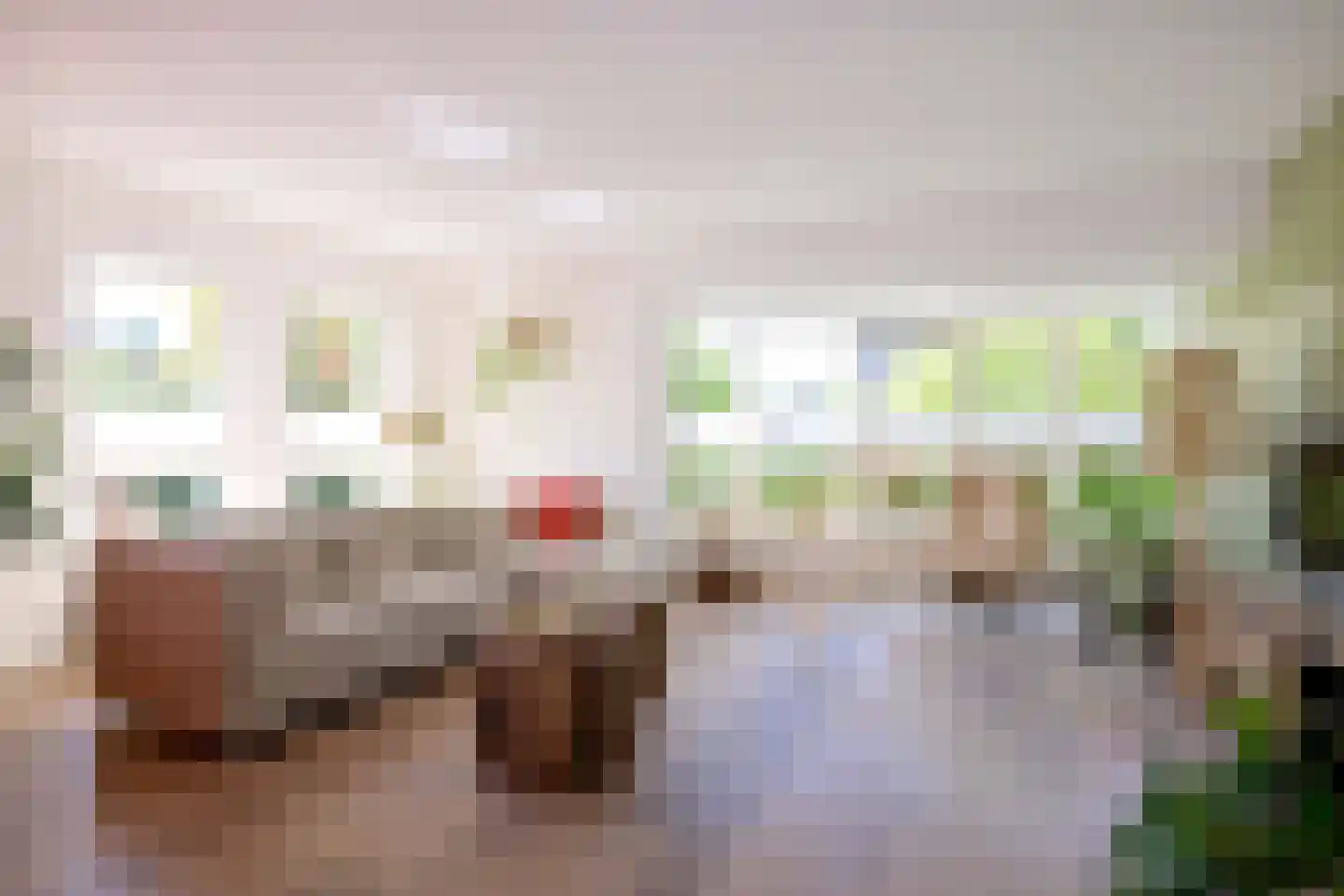 Holenduif 3 Olst thumbnail 4