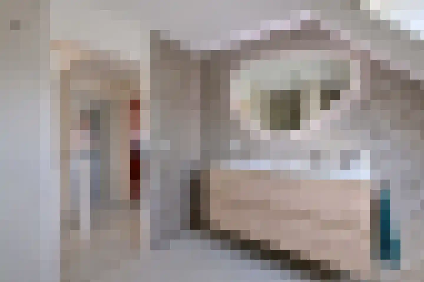 Holenduif 3 Olst thumbnail 40