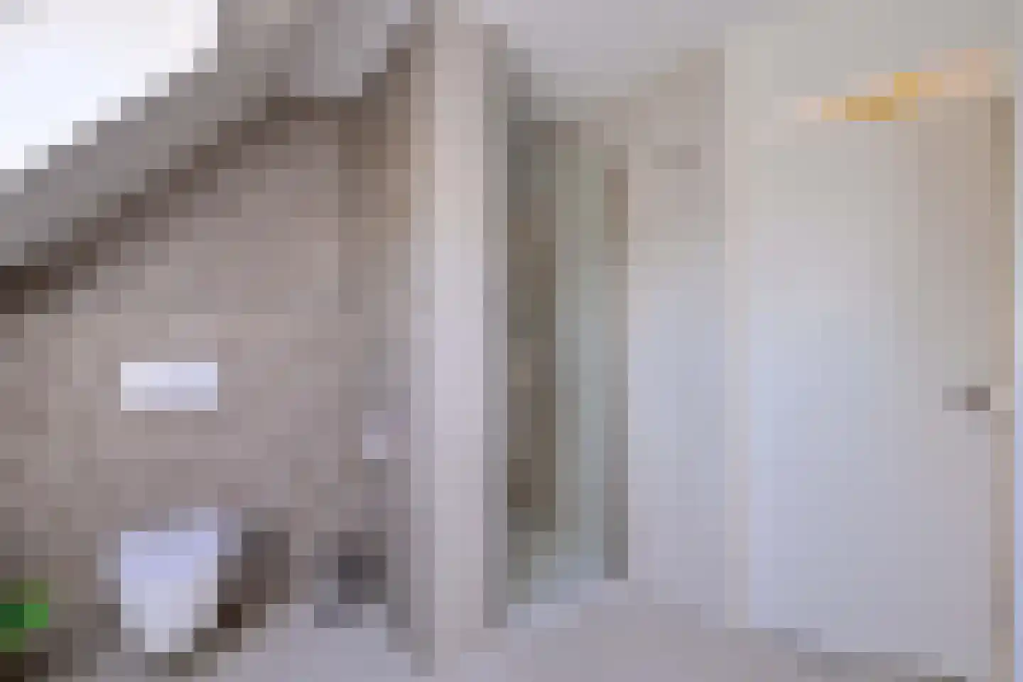 Holenduif 3 Olst thumbnail 41