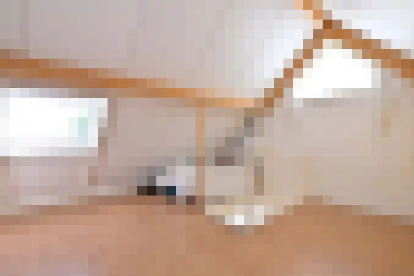 Holenduif 3 Olst thumbnail 45