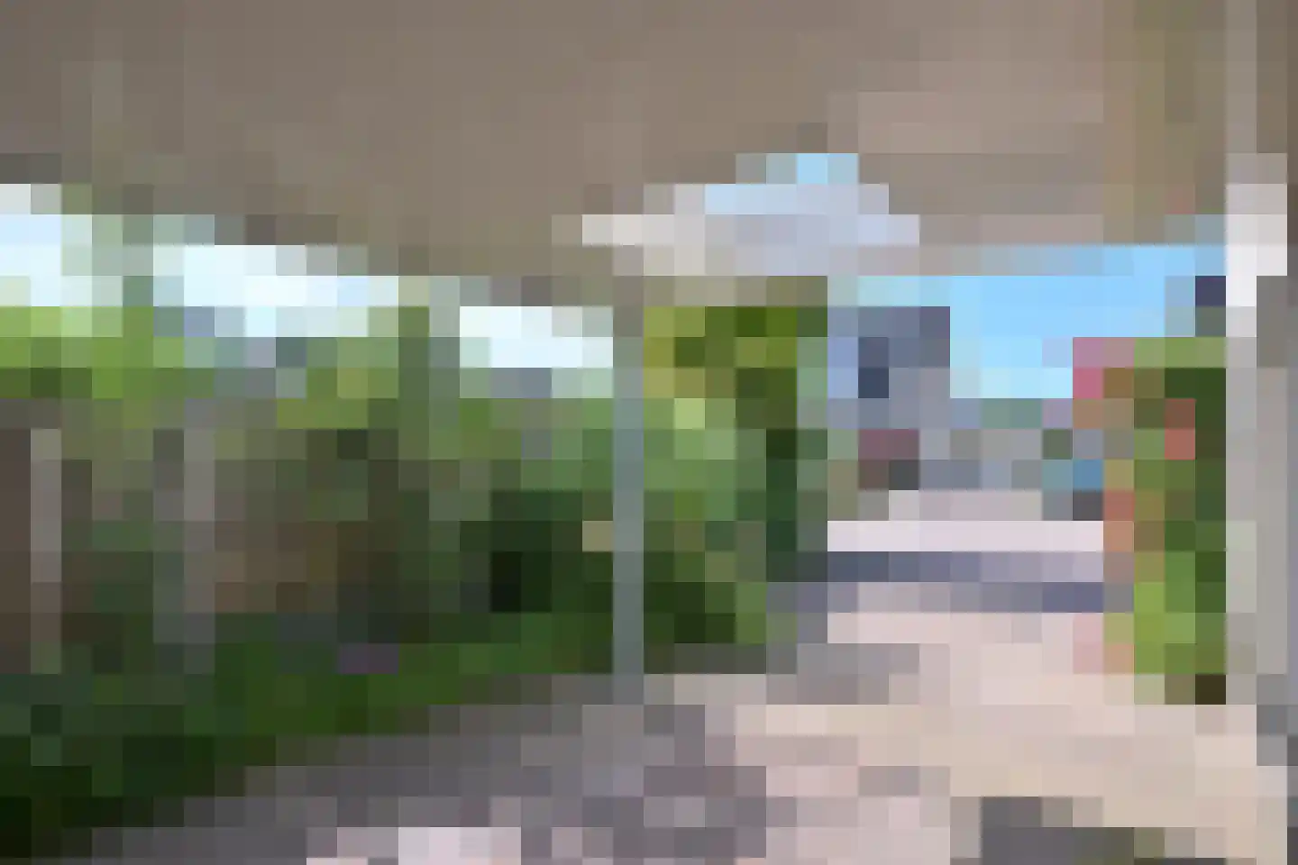Holenduif 3 Olst thumbnail 46