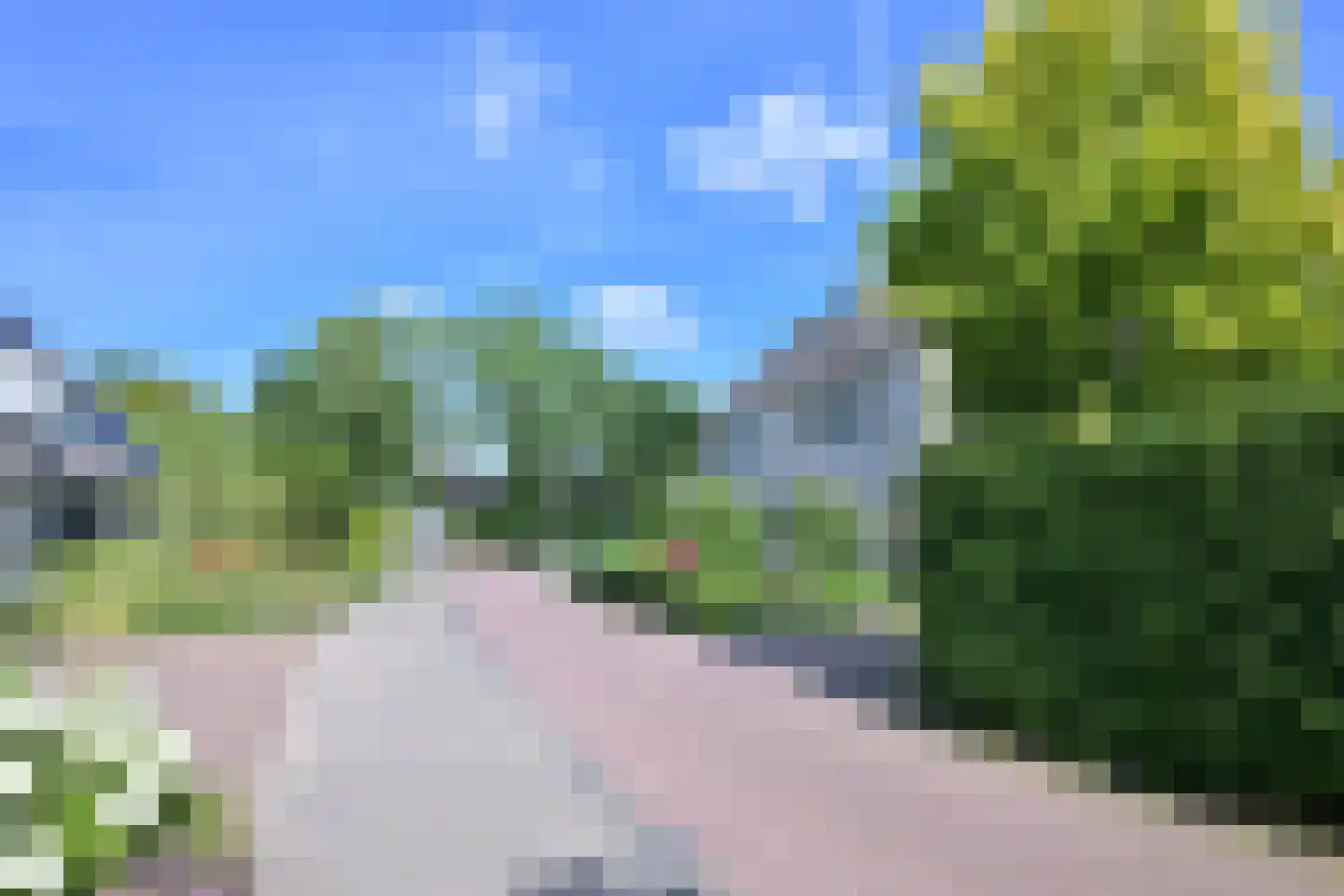 Holenduif 3 Olst thumbnail 49