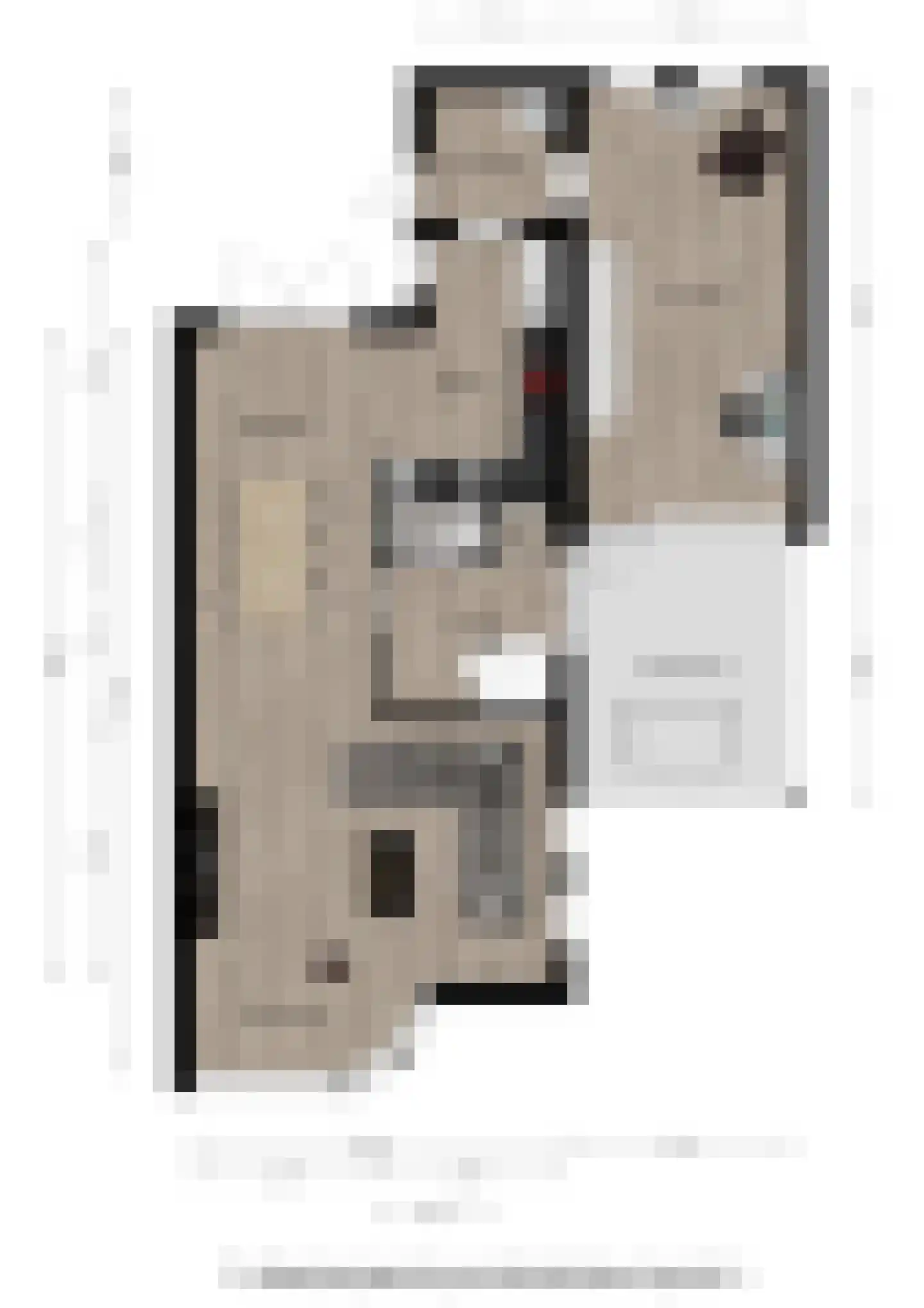 Holenduif 3 Olst thumbnail 51