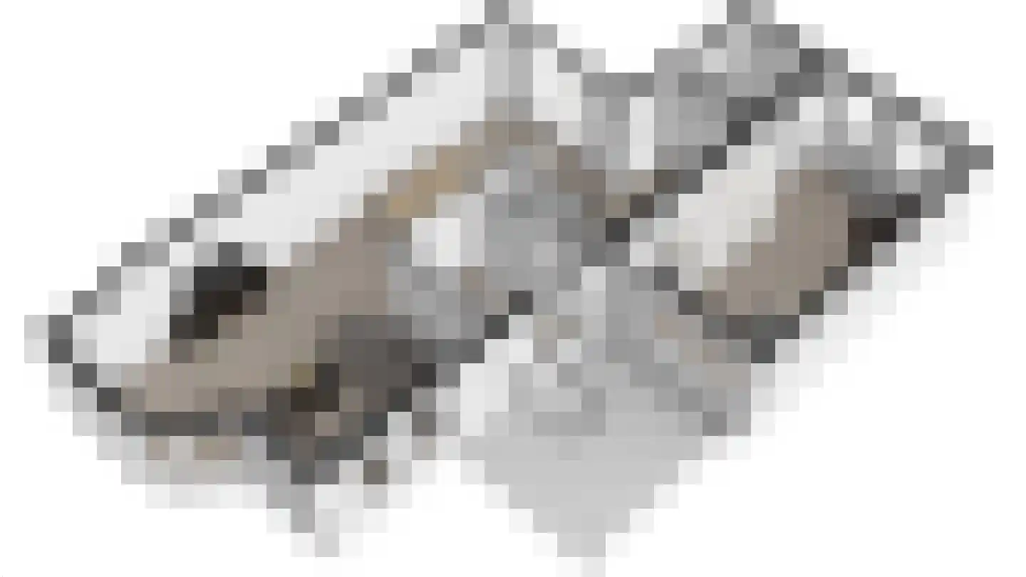 Holenduif 3 Olst thumbnail 55