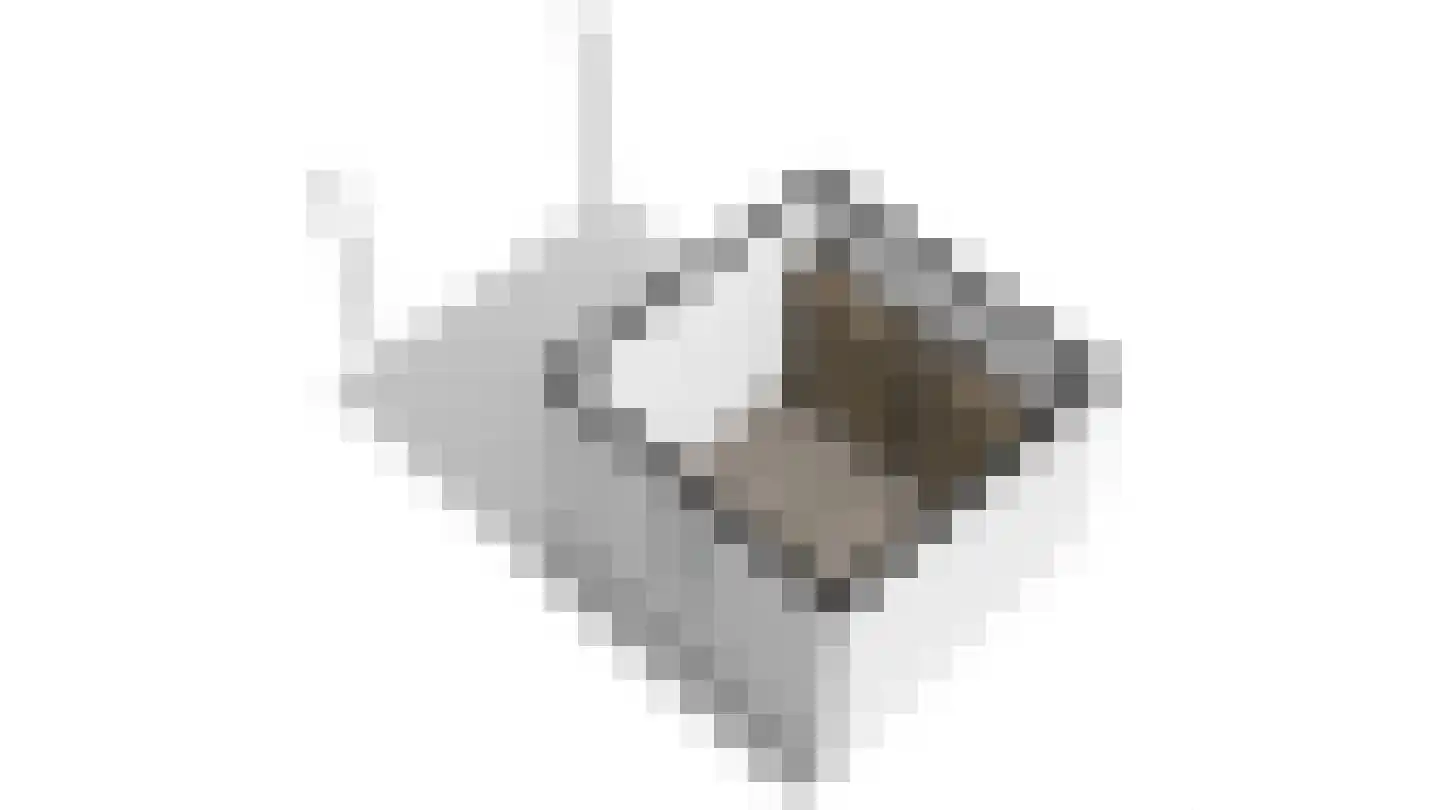 Holenduif 3 Olst thumbnail 58
